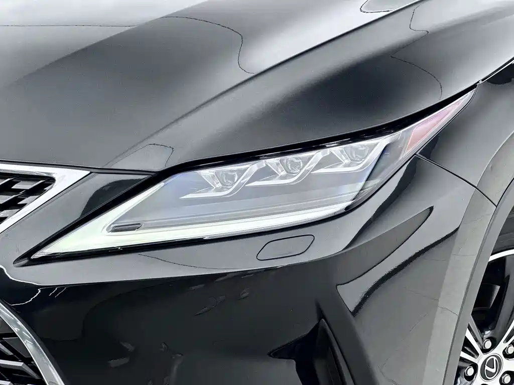 Lexus RX — фото 10