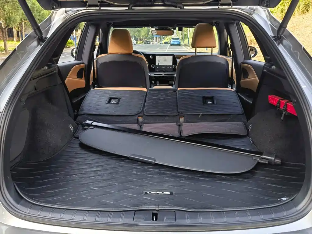 Lexus RX — фото 11