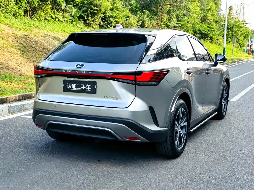 Lexus RX — фото 7