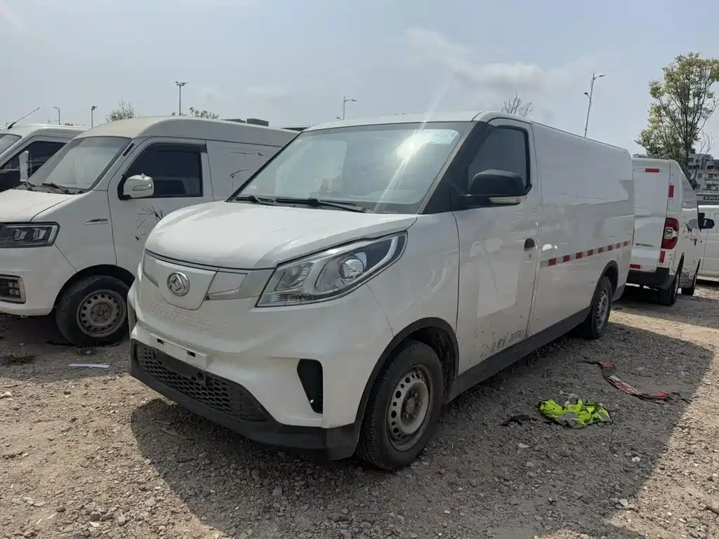MAXUS EV30