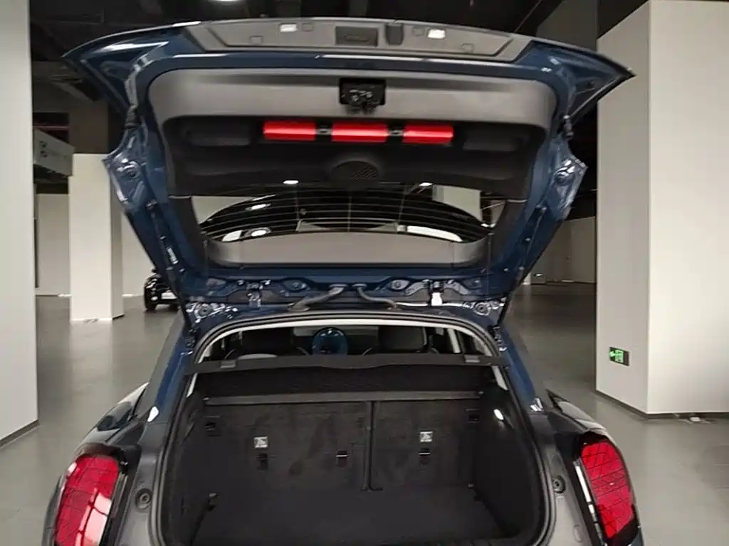 MINI MINI ACEMAN EV — фото 19