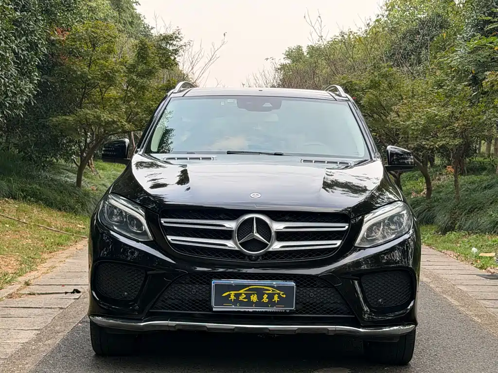 Mercedes-Benz GLE (Import) — фото 2