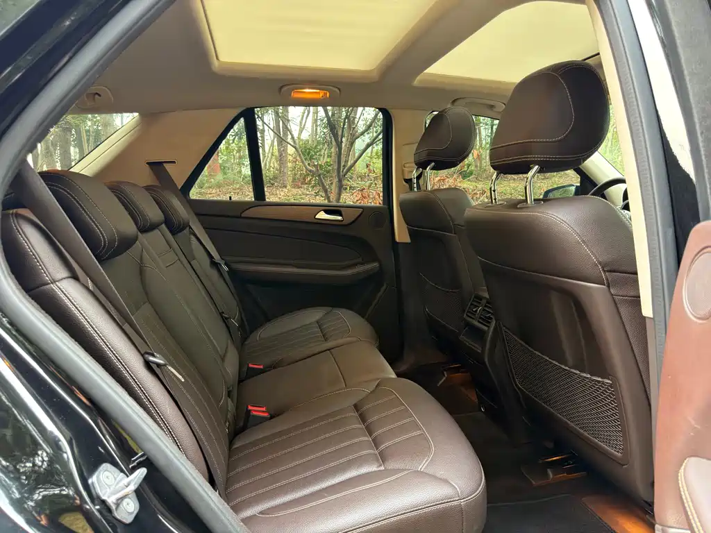 Mercedes-Benz GLE (Import) — фото 10