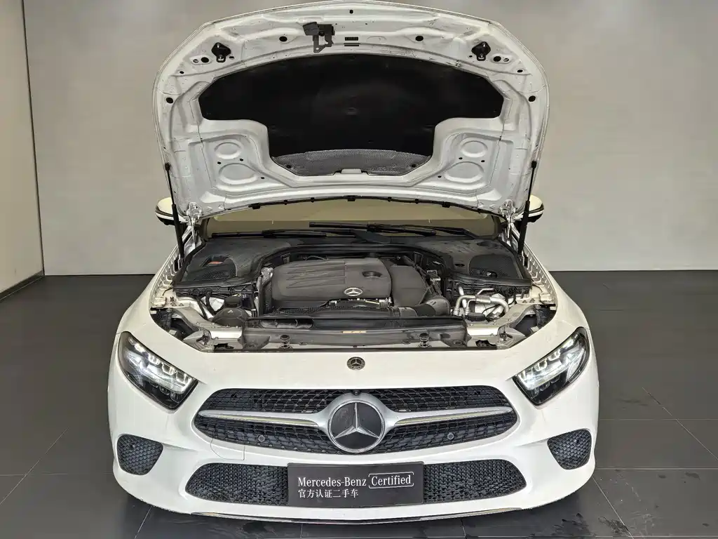 Mercedes-Benz CLS — фото 10