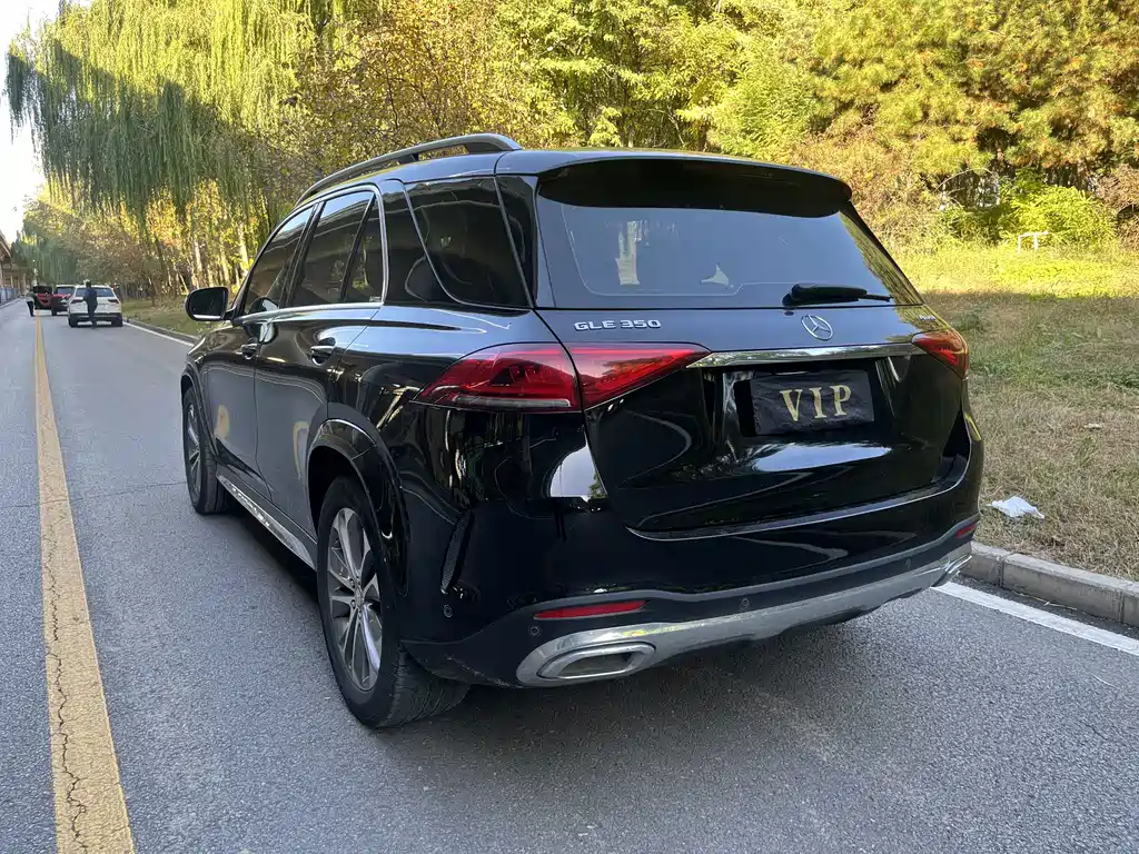 Mercedes-Benz GLE (Import) — фото 4