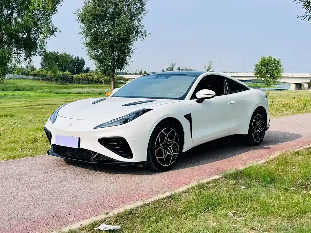 Neta Neta GT