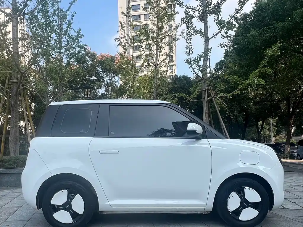 Qiyuan Lumin — фото 3