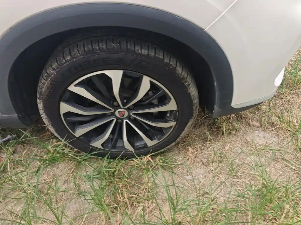 Roewe RX5 eMAX — фото 8
