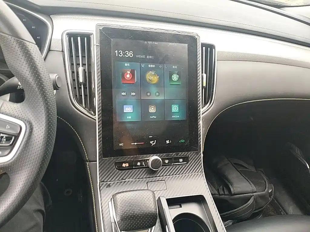 Roewe i6 MAX New Energy — фото 13