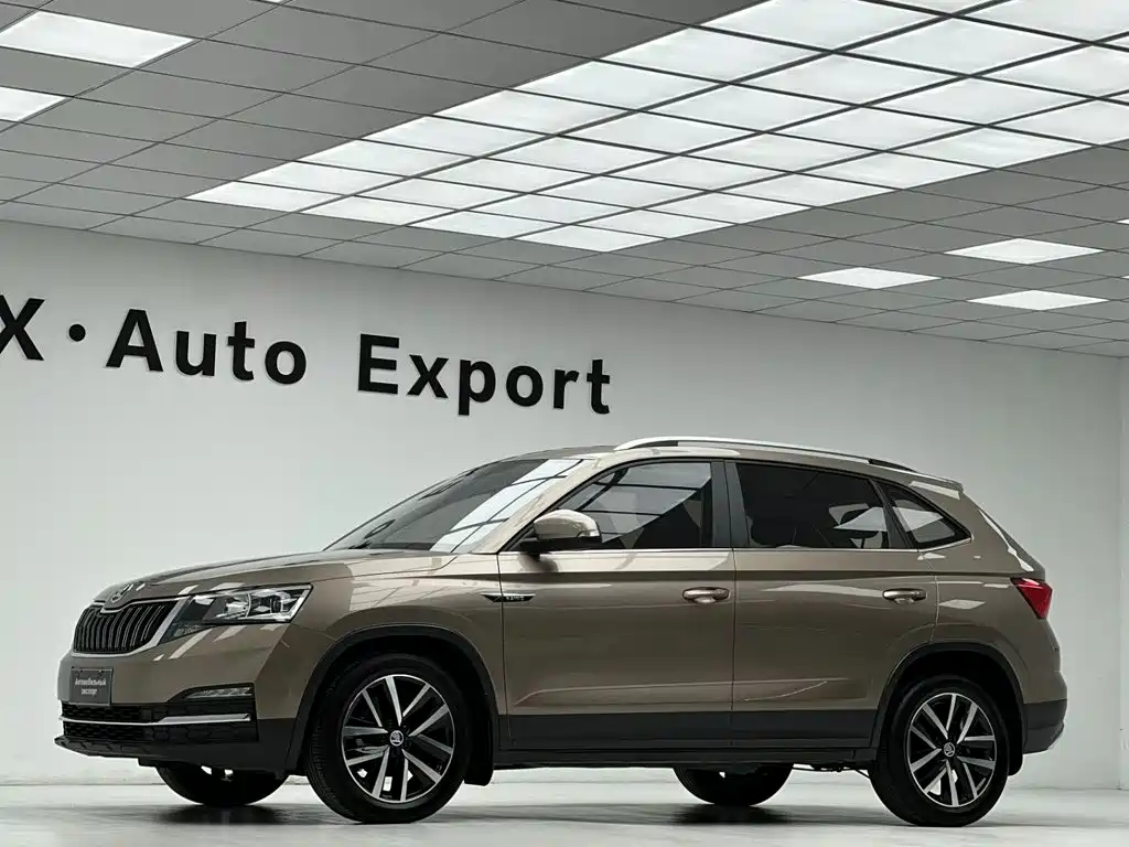 Skoda Kamiq — фото 21