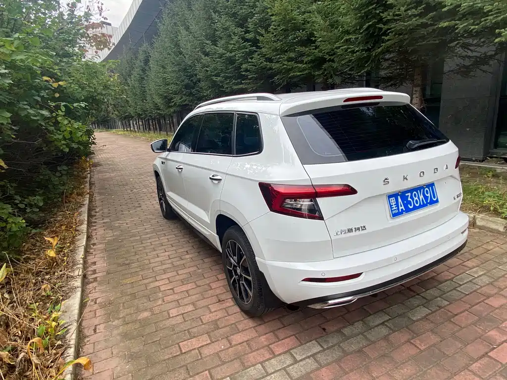 Skoda Karoq — фото 4