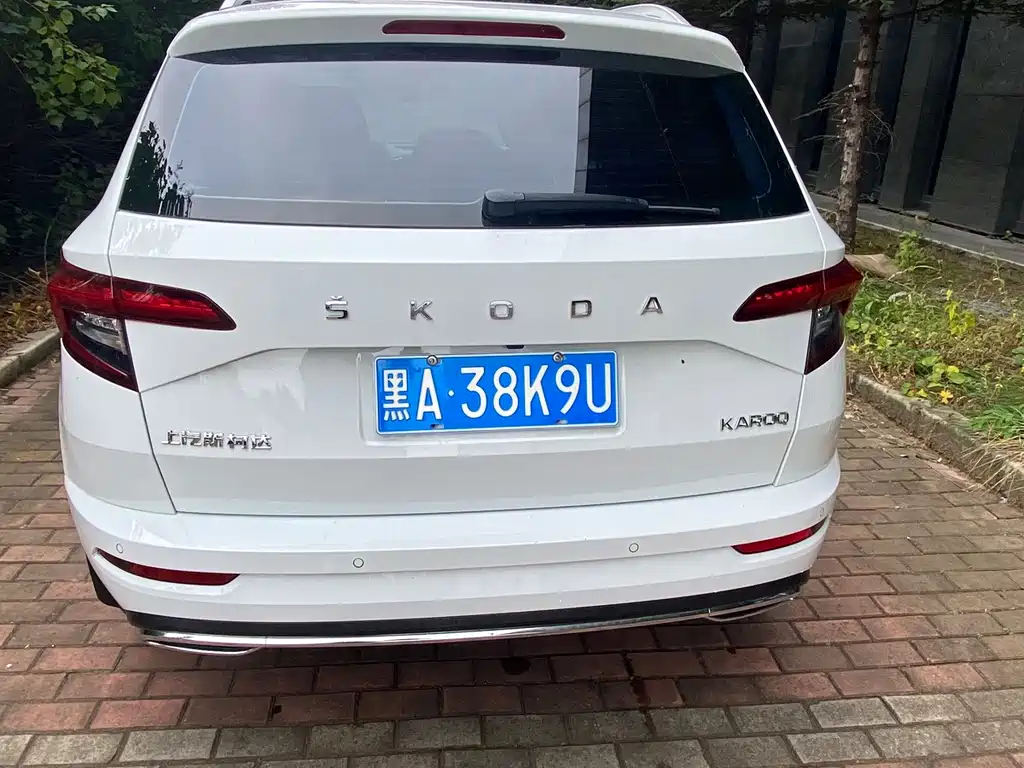 Skoda Karoq — фото 5