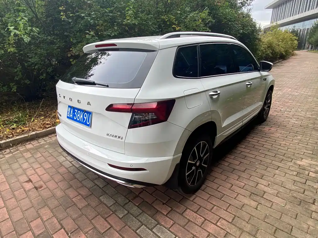 Skoda Karoq — фото 6