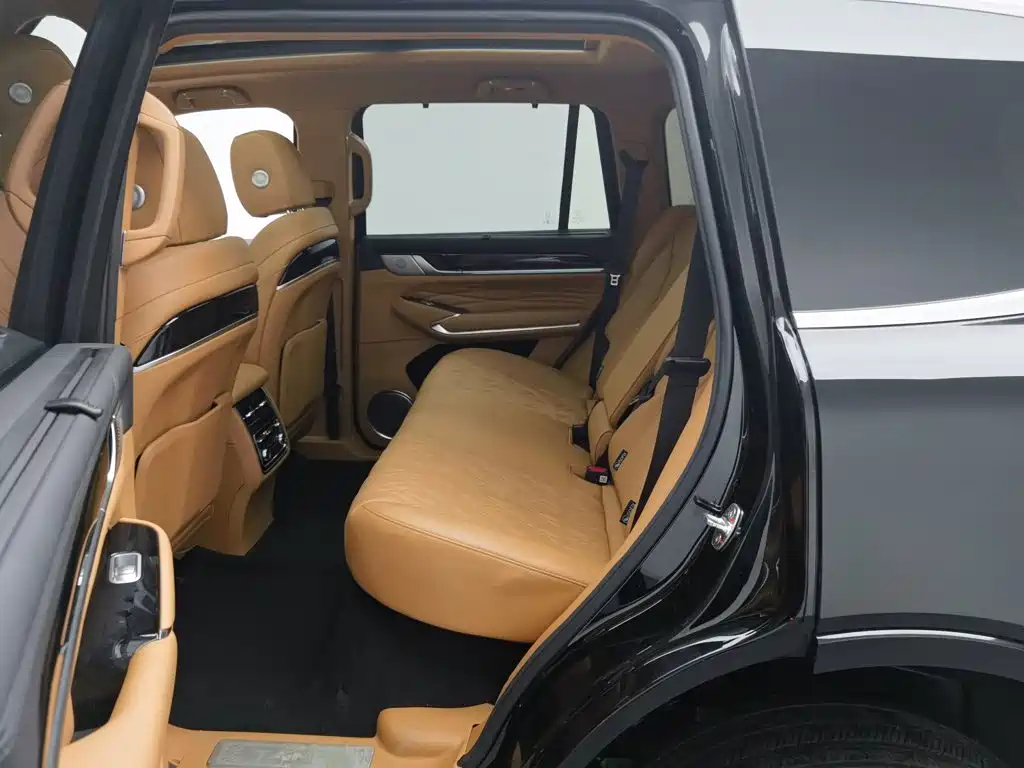 Tank Tank 500 New Energy — фото 15