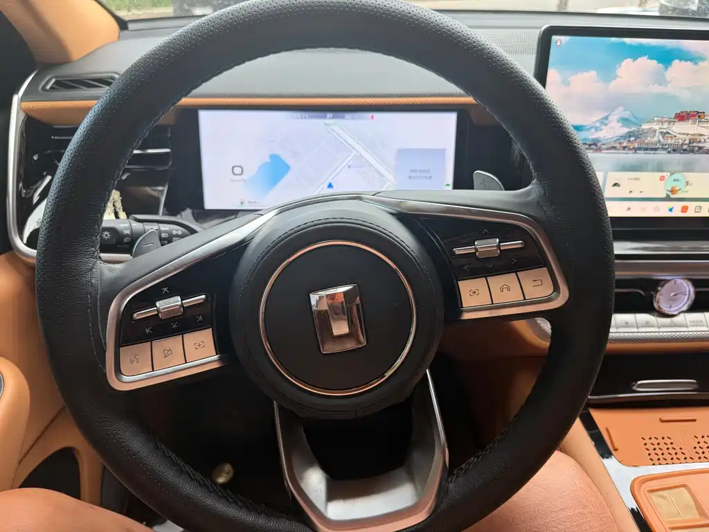 Tank Tank 500 New Energy — фото 5