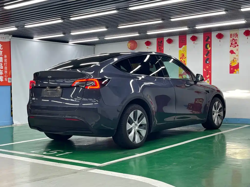 Tesla Model Y — фото 5