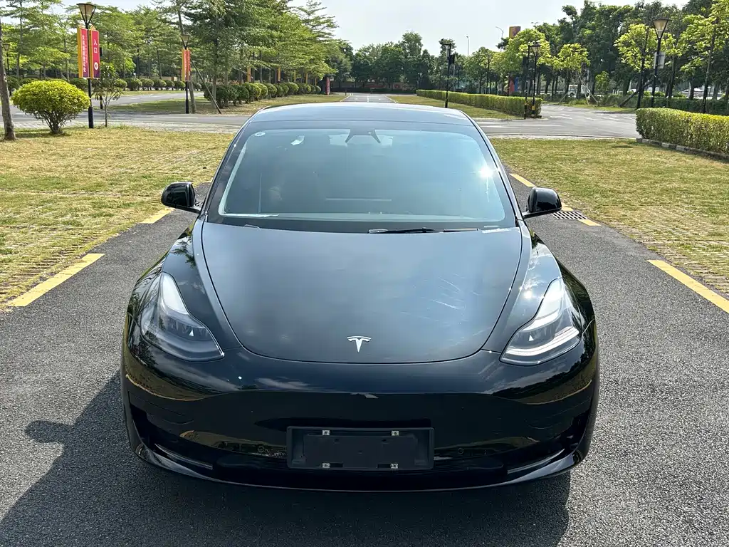 Tesla Model 3 — фото 2