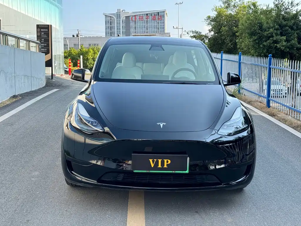 Tesla Model Y — фото 2