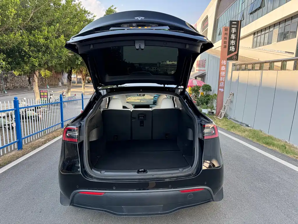 Tesla Model Y — фото 11