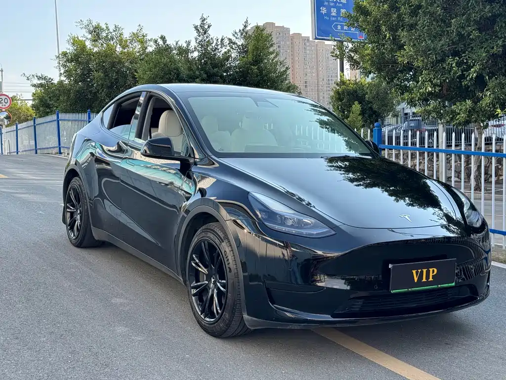 Tesla Model Y — фото 3