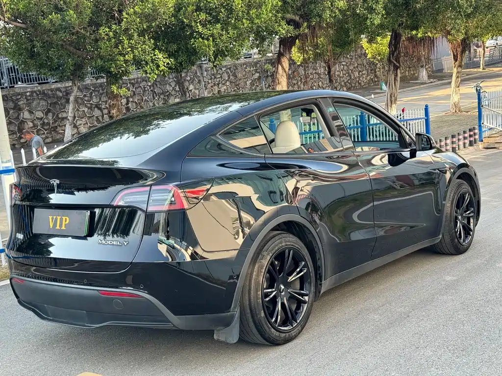 Tesla Model Y — фото 6