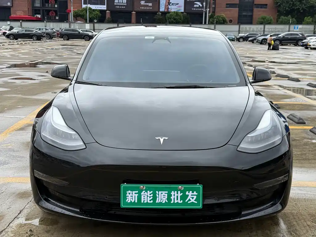 Tesla Model 3 — фото 2
