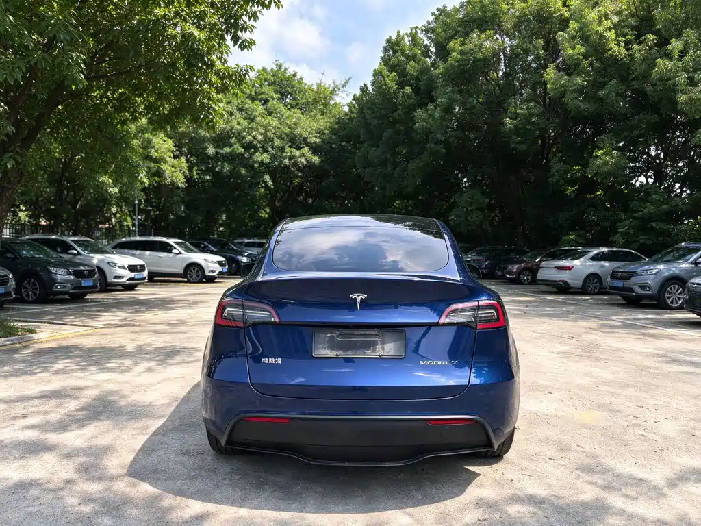 Tesla Model Y — фото 2