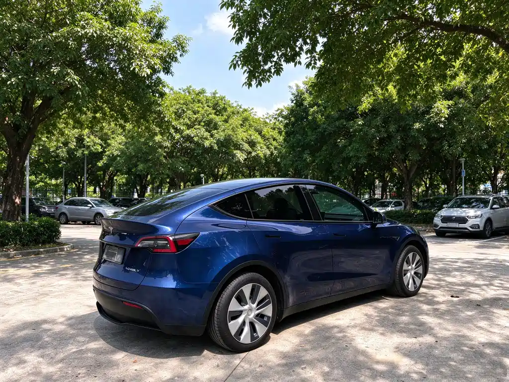 Tesla Model Y — фото 3