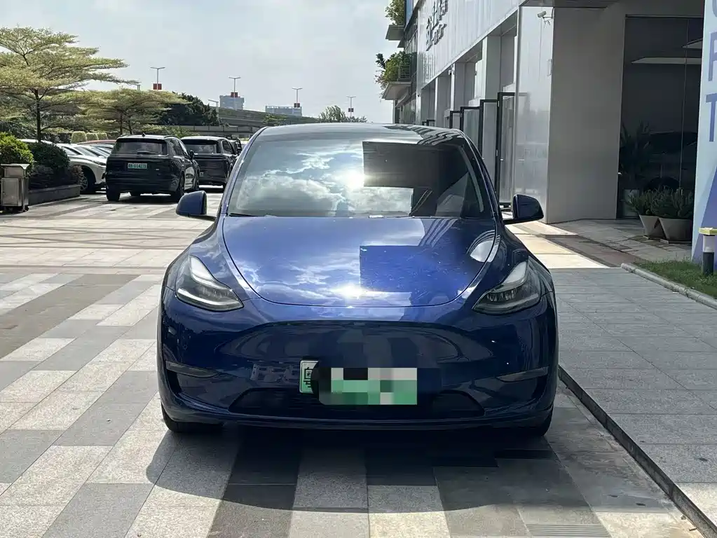 Tesla Model Y — фото 2