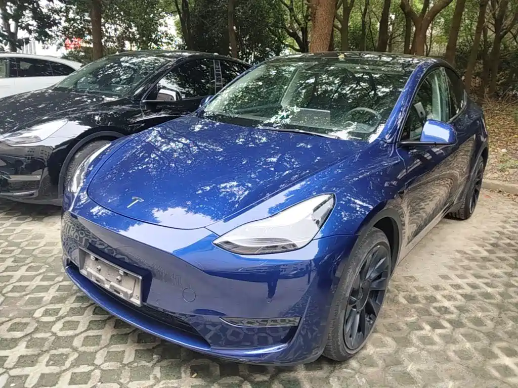 Tesla Model Y — фото 2