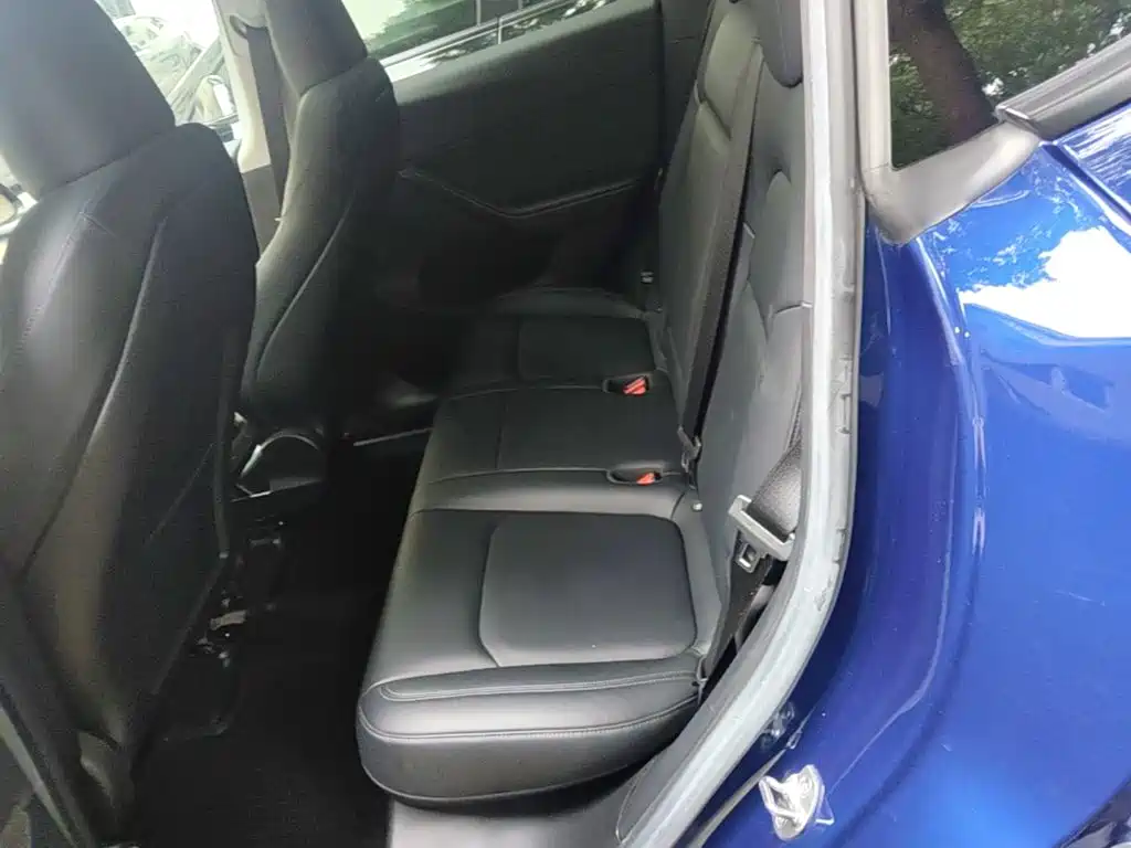 Tesla Model Y — фото 17
