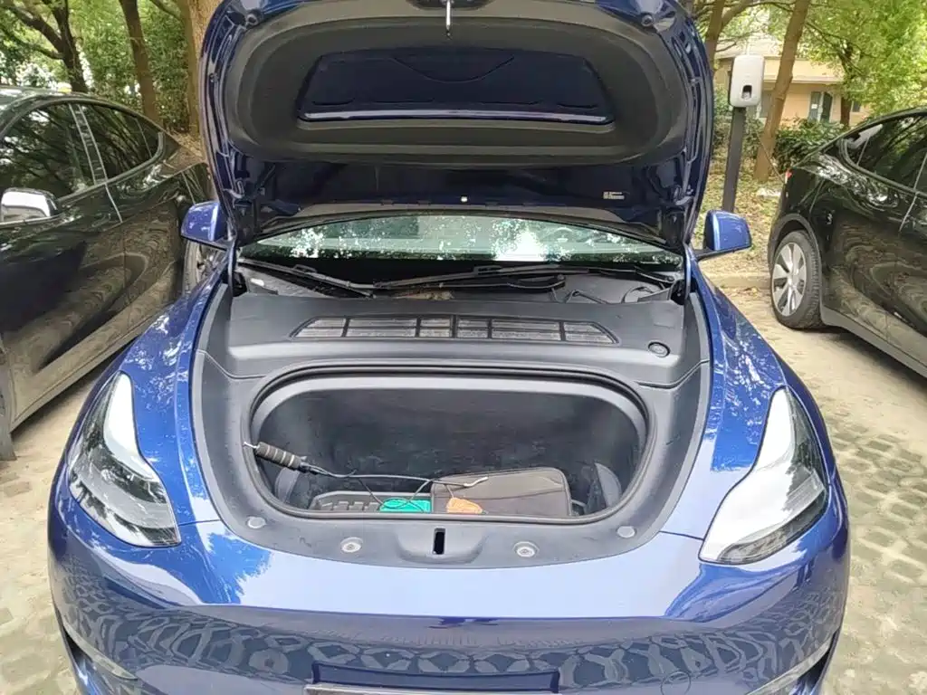 Tesla Model Y — фото 20
