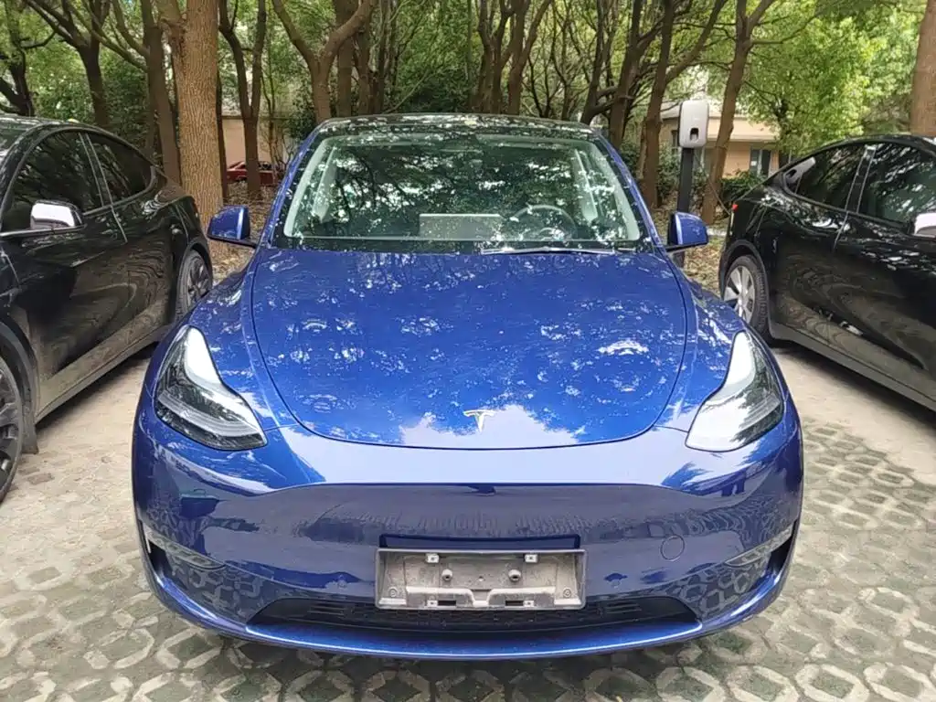 Tesla Model Y — фото 3