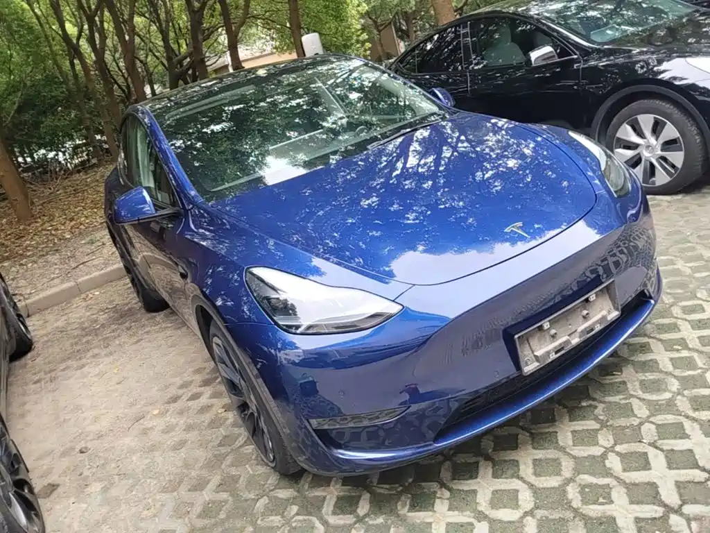 Tesla Model Y — фото 4