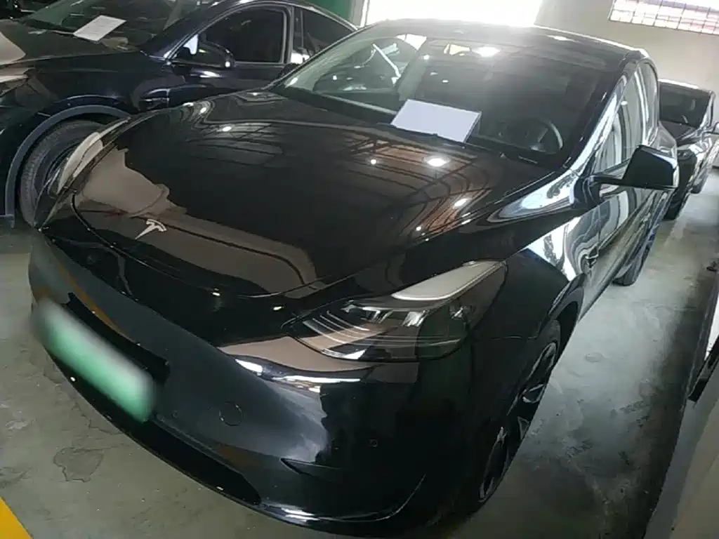 Tesla Model Y — фото 2