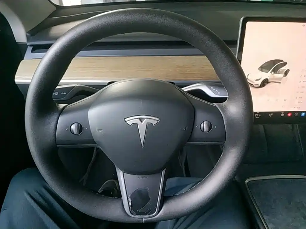 Tesla Model Y — фото 11