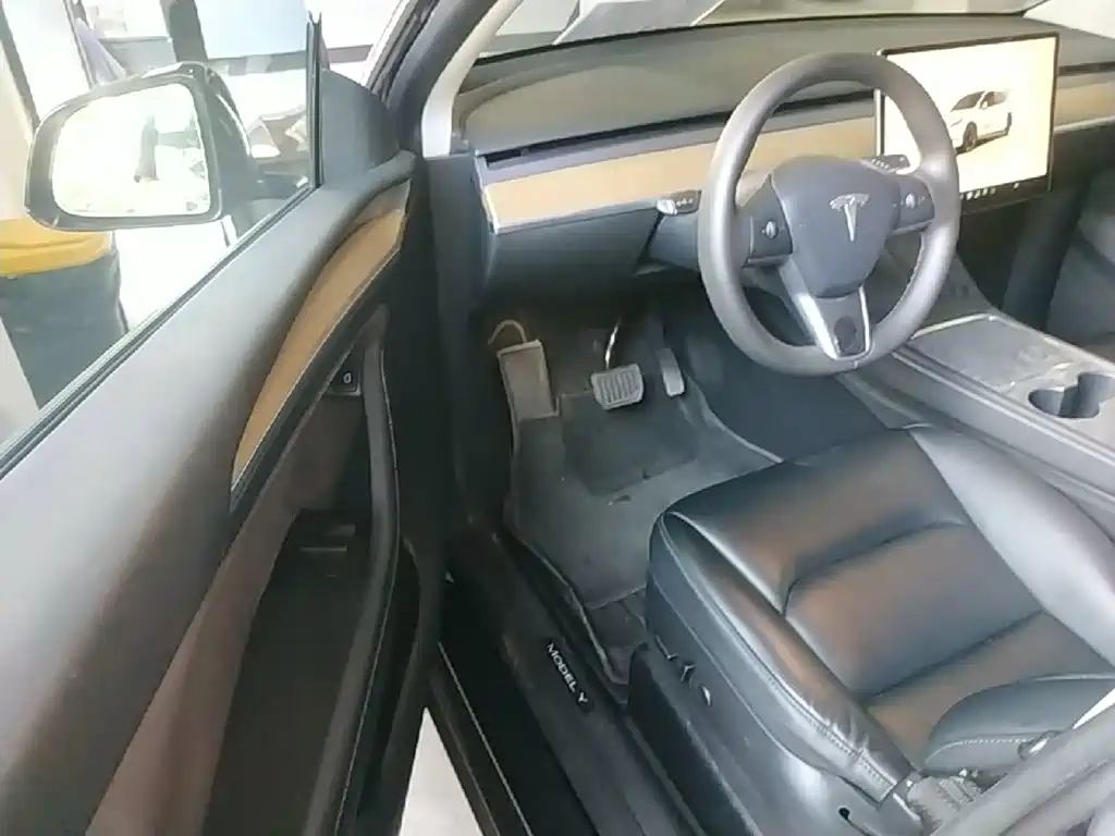Tesla Model Y — фото 16