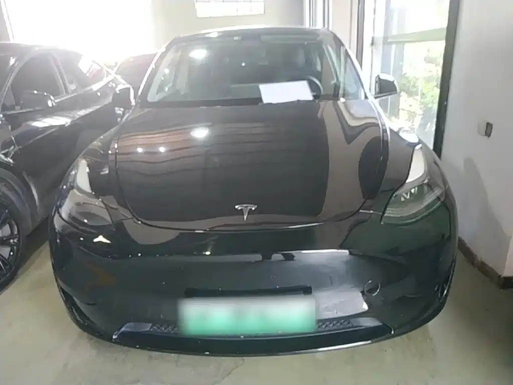 Tesla Model Y — фото 3