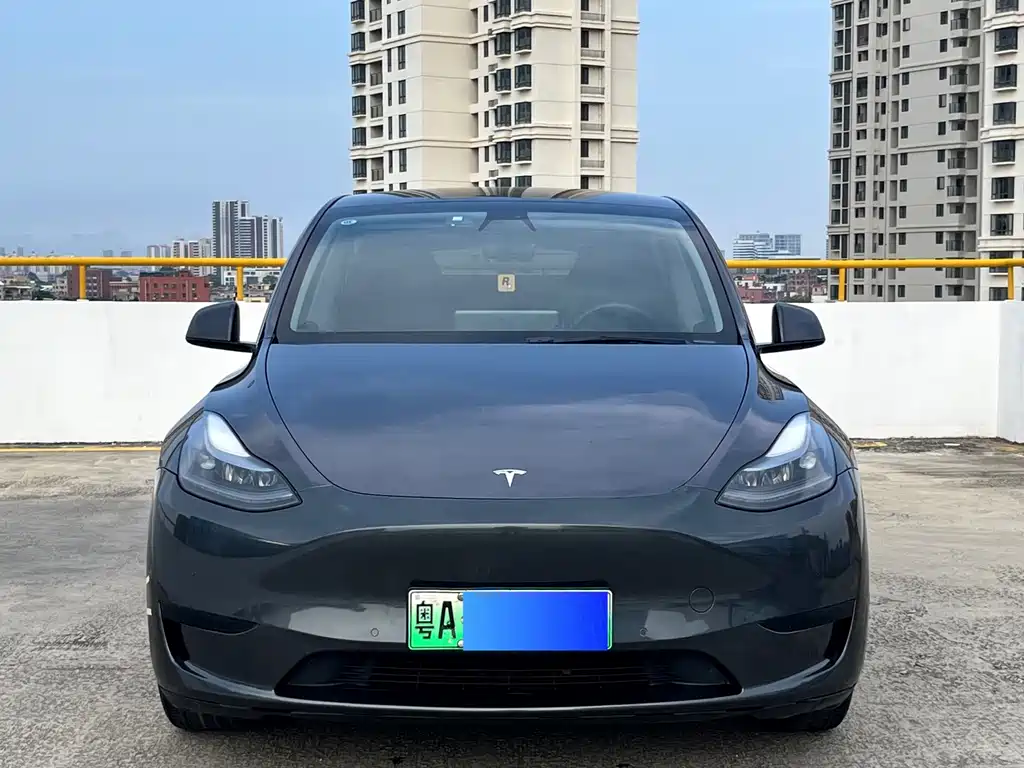 Tesla Model Y — фото 2