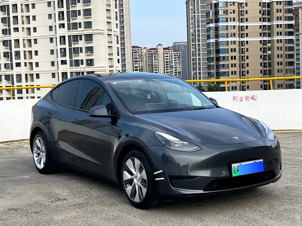 Tesla Model Y — фото 3