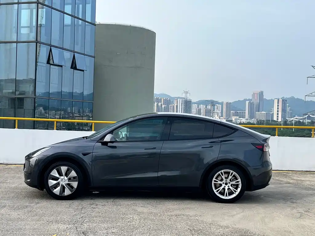 Tesla Model Y — фото 4
