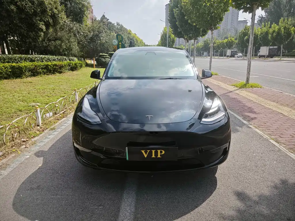 Tesla Model Y — фото 2