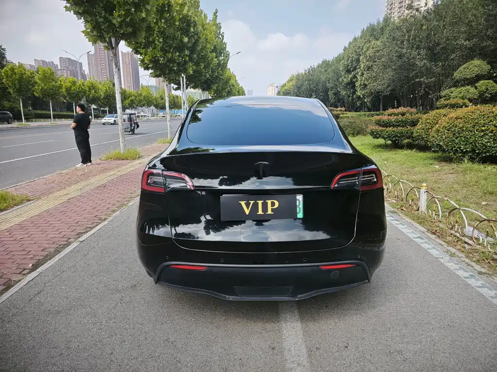 Tesla Model Y — фото 11