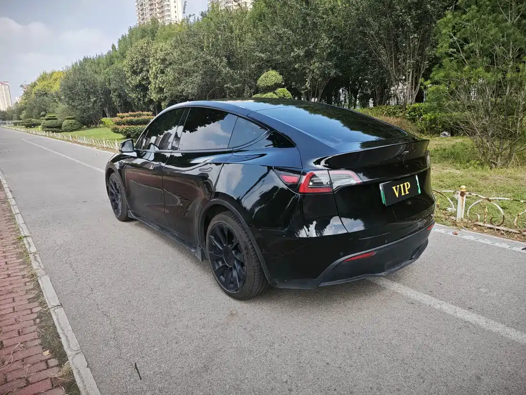 Tesla Model Y — фото 12