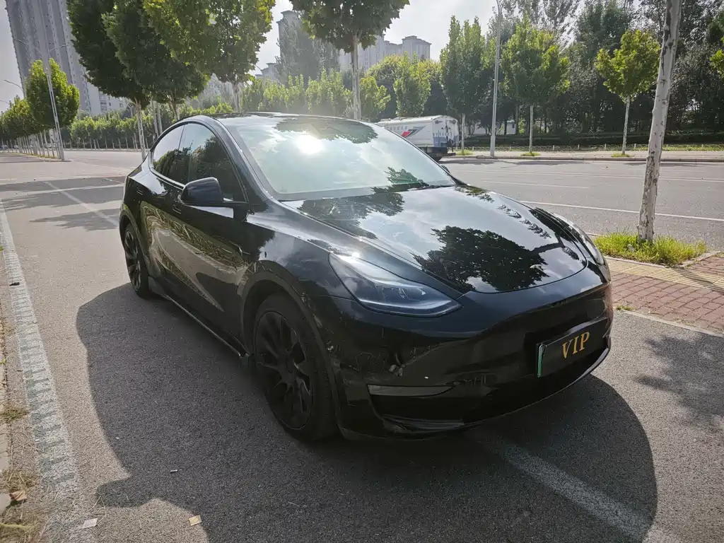 Tesla Model Y — фото 3