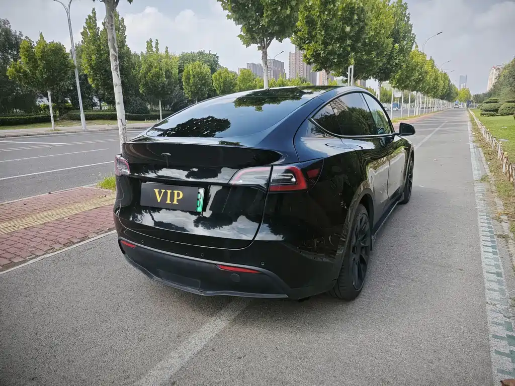 Tesla Model Y — фото 10