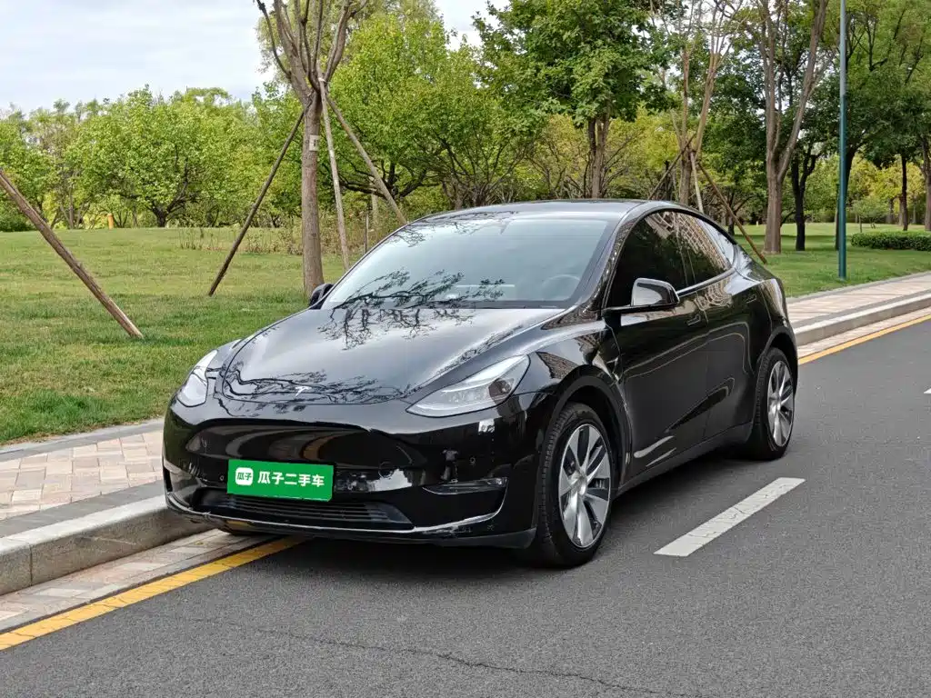Tesla Model Y — фото 2