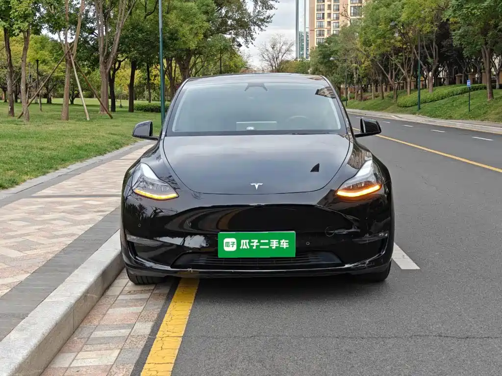 Tesla Model Y — фото 3
