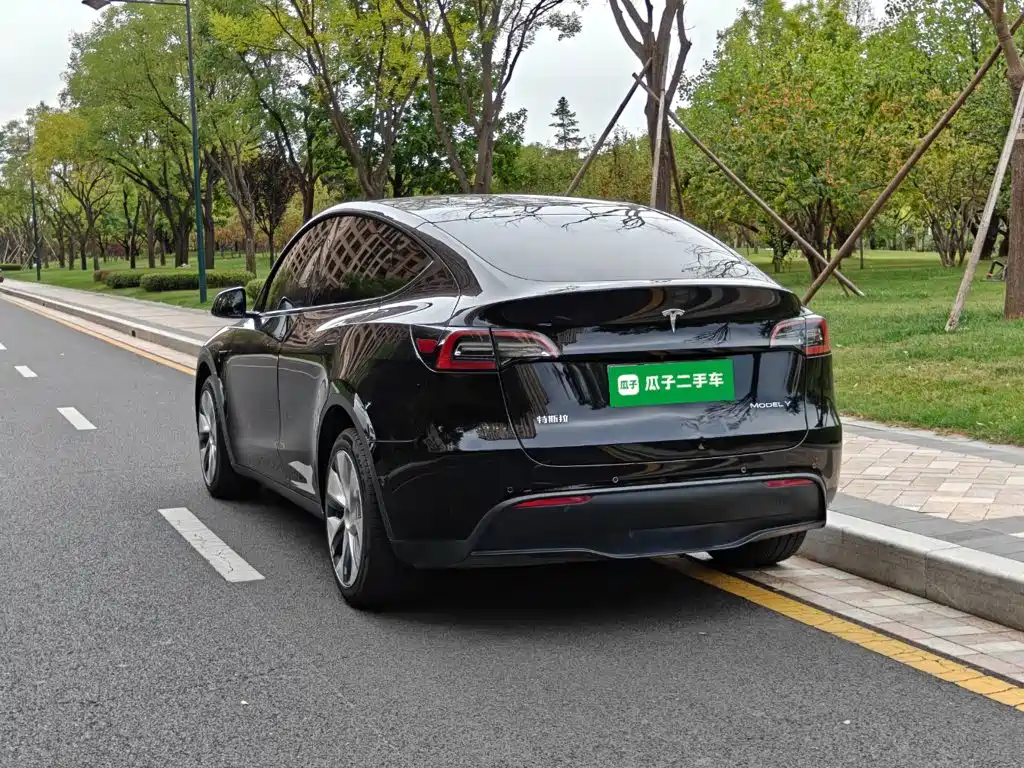 Tesla Model Y — фото 5