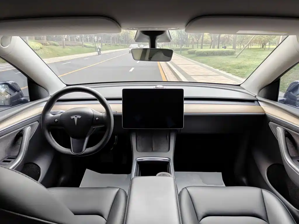 Tesla Model Y — фото 10